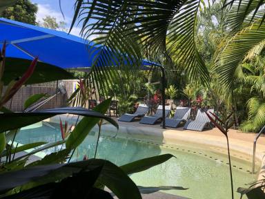 Business For Sale - QLD - Picnic Bay - 4819 - Rare lifestyle opportunity on Magnetic Island  (Image 2)