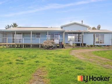 House For Sale - VIC - Orbost - 3888 - LIFESTYLE HOME WITH VIEWS OF THE SNOWY RIVER  (Image 2)