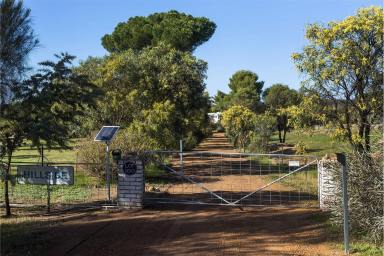 Lifestyle Sold - WA - York - 6302 - HILLSIDE  (Image 2)