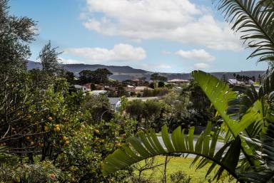 House For Sale - NSW - Gerringong - 2534 - Coastal Comfort with Stunning Mountain Views  (Image 2)