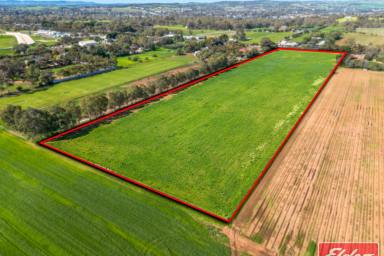 Residential Block For Sale - SA - Buchfelde - 5118 - TERRIFIC 10 ACRES  (Image 2)