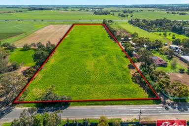 Residential Block For Sale - SA - Buchfelde - 5118 - TERRIFIC 10 ACRES  (Image 2)