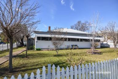 House For Sale - NSW - Inverell - 2360 - SPACIOUS FAMILY LIVING AWAITS  (Image 2)