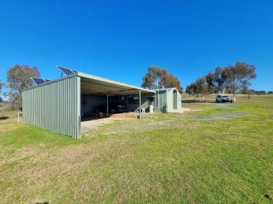 House For Sale - NSW - Mount Horeb - 2729 - Rural Lifestyle, Amazing Views !  (Image 2)
