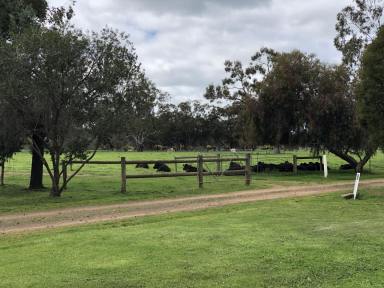 Cropping Auction - VIC - Undera - 3629 - Picturesque & Productive 170-Acres  (Image 2)