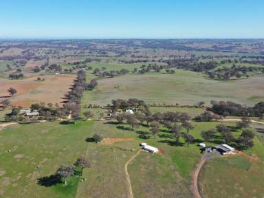 House For Sale - NSW - Young - 2594 - Where Dreams Start  (Image 2)