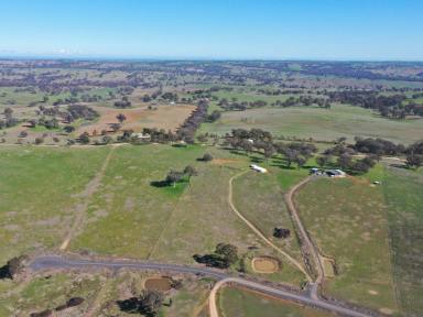 House For Sale - NSW - Young - 2594 - Where Dreams Start  (Image 2)