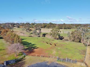 Residential Block For Sale - NSW - Young - 2594 - Discover Your Dream Property in Young!  (Image 2)