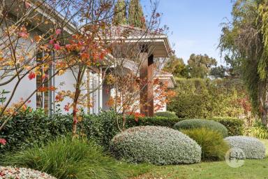 Acreage/Semi-rural For Sale - VIC - Moorooduc - 3933 - Resort-Style Luxury Meets Premier Equestrian Living on 10 Idyllic Acres  (Image 2)