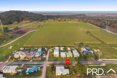 House For Sale - NSW - Broadwater - 2472 - Blank Canvas Packed with Potential!  (Image 2)