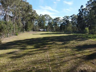 Residential Block For Sale - VIC - Sarsfield - 3875 - BUILD WITH VIEWS OF THE VALLEY  (Image 2)