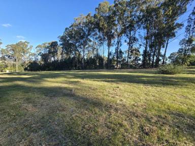 Residential Block For Sale - VIC - Sarsfield - 3875 - BUILD WITH VIEWS OF THE VALLEY  (Image 2)