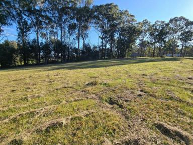 Residential Block For Sale - VIC - Sarsfield - 3875 - BUILD WITH VIEWS OF THE VALLEY  (Image 2)