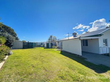 House For Lease - NSW - South Tamworth - 2340 - South Tamworth - 4 Bedroom House for Lease  (Image 2)