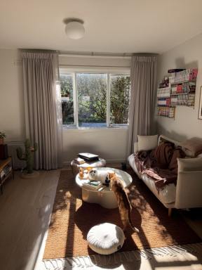 Flat For Lease - VIC - Caulfield - 3162 - Renovated 2-Bedroom Apartment - Japandi Style, Leafy Views, Walk to Everything  (Image 2)