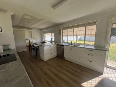 House For Sale - NSW - Moree - 2400 - Solid Brick Home - OUT OF FLOOD!  (Image 2)