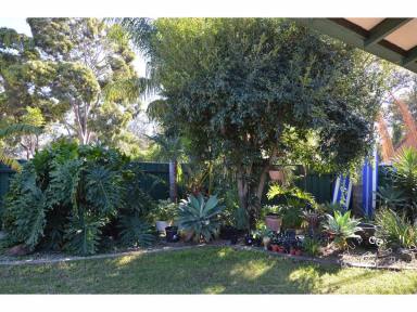 House For Sale - SA - Salisbury North - 5108 - Ideal for First Home Buyers, Investors or Developers     (Image 2)