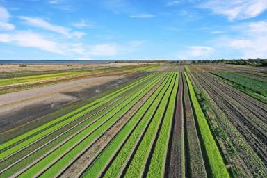 Other (Rural) For Sale - VIC - Bengworden - 3875 - Irrigated Horticultural Enterprise - Gippsland Lakes  (Image 2)