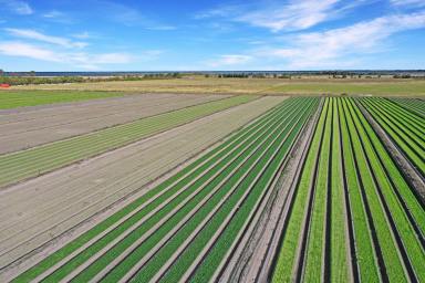 Other (Rural) For Sale - VIC - Bengworden - 3875 - Irrigated Horticultural Enterprise - Gippsland Lakes  (Image 2)