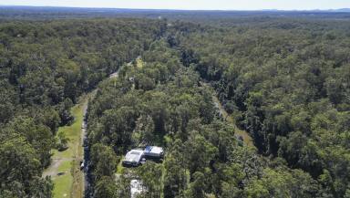 Lifestyle For Sale - NSW - Kremnos - 2460 - 100 ACRES ON THE ORARA RIVER  (Image 2)