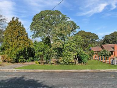 Residential Block For Sale - NSW - Bundanoon - 2578 - Rare Elevated Building Block in Prime Location  (Image 2)