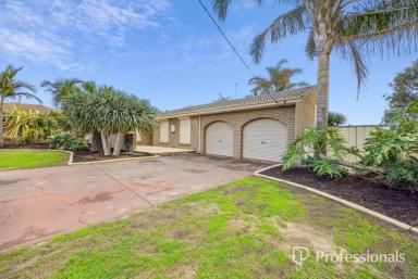 House For Sale - WA - Australind - 6233 - A True Credit to the Owners - Spacious, Stylish & Full of Character  (Image 2)