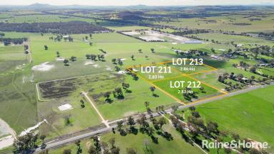 Residential Block For Sale - NSW - Henty - 2658 - Plenty in Henty - 7 Acre Lots  (Image 2)