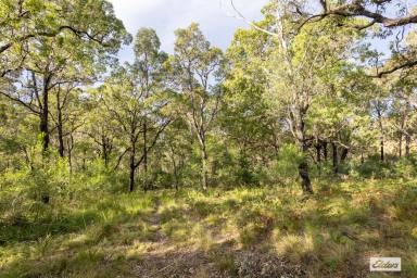 Residential Block For Sale - NSW - Yowrie - 2550 - Privacy, Nature & Potential - Your Bush Retreat Awaits  (Image 2)