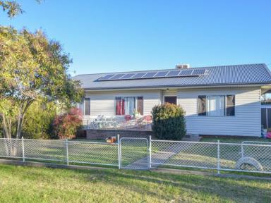 House Sold - NSW - Young - 2594 - Low Maintenance 3 Bedroom Home With A Great Northly Aspect And Within Walking Distance To The Main Street  (Image 2)