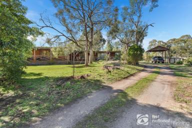 Lifestyle For Sale - VIC - Cranbourne South - 3977 - ONE FOR THE FAMILY & HORSES!  (Image 2)