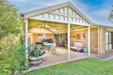 House For Sale - VIC - Mildura - 3500 - SPACIOUS FAMILY LIVING IN A QUIET COURT  (Image 2)