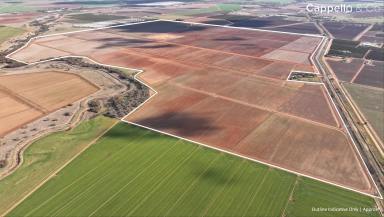 Other (Rural) For Sale - NSW - Hanwood - 2680 - BROADACRE FARM OF SCALE AND MODERN LAYOUT - FOR LEASE  (Image 2)