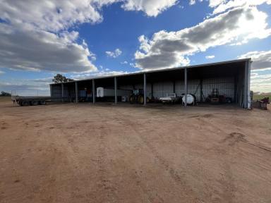 Other (Rural) For Sale - NSW - Hanwood - 2680 - BROADACRE FARM OF SCALE AND MODERN LAYOUT - FOR LEASE  (Image 2)