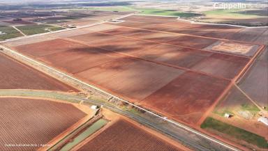 Other (Rural) For Sale - NSW - Hanwood - 2680 - BROADACRE FARM OF SCALE AND MODERN LAYOUT - FOR LEASE  (Image 2)