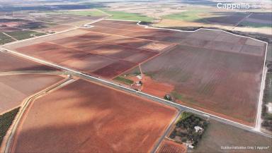 Other (Rural) For Sale - NSW - Hanwood - 2680 - BROADACRE FARM OF SCALE AND MODERN LAYOUT - FOR LEASE  (Image 2)