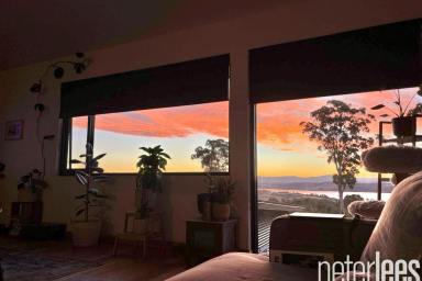 House For Sale - TAS - Swan Bay - 7252 - When Home is an Oasis  (Image 2)