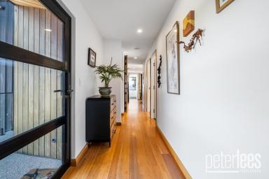 House For Sale - TAS - Swan Bay - 7252 - When Home is an Oasis  (Image 2)