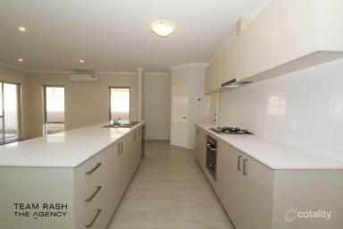 House For Sale - WA - Beeliar - 6164 - Spacious & Stylish Family HOME in a Great Location!!  (Image 2)