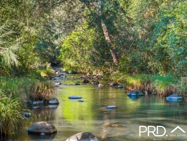 Lifestyle For Sale - NSW - Lynchs Creek - 2474 - Two Homes on 157 Acres with Creek  (Image 2)