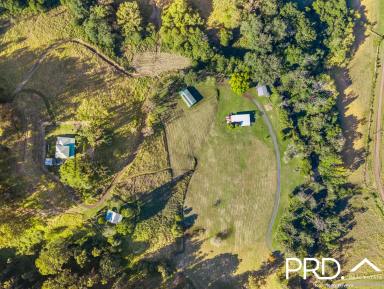 Lifestyle For Sale - NSW - Lynchs Creek - 2474 - Two Homes on 157 Acres with Creek  (Image 2)