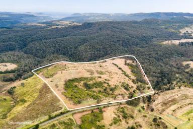 Lifestyle For Sale - QLD - West Haldon - 4359 - Create Your Country Dream!  (Image 2)