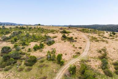 Lifestyle For Sale - QLD - West Haldon - 4359 - Create Your Country Dream!  (Image 2)