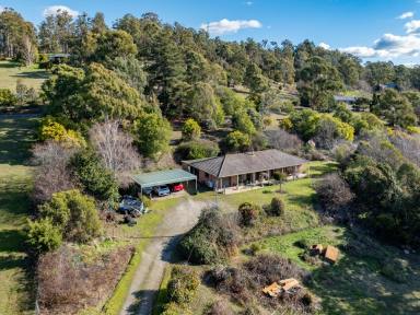House For Sale - TAS - Legana - 7277 - 4 acres in Legana with views!  (Image 2)