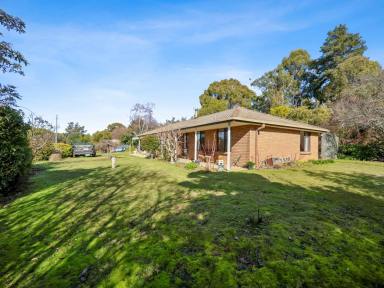 House For Sale - TAS - Legana - 7277 - 'Sunny Banks' - Home on 4 acres in Legana with views!  (Image 2)