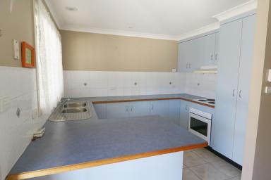House For Sale - NSW - Glen Innes - 2370 - BRICK BEAUTY WITH SHEDS  (Image 2)