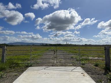 Residential Block For Sale - QLD - Cooktown - 4895 - 20 Acres Fenced and Cleared  (Image 2)