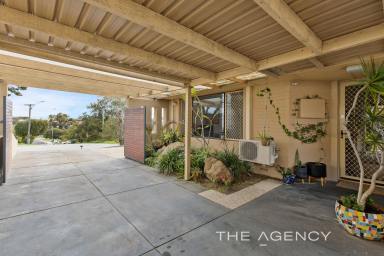 House For Sale - WA - Craigie - 6025 - 802SQM R20/R40 ZONED BLOCK  (Image 2)