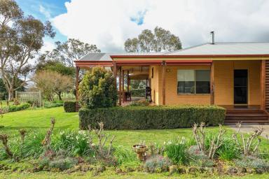 Livestock For Sale - VIC - Macarthur - 3286 - 'Caldermeade' Exceptional presentation and farm layout in a versatile sought after location  (Image 2)