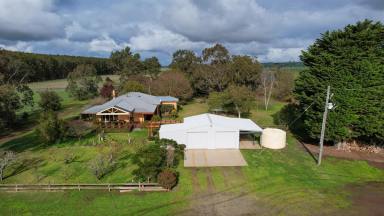 Livestock For Sale - VIC - Macarthur - 3286 - 'Caldermeade' Exceptional presentation and farm layout in a versatile sought after location  (Image 2)