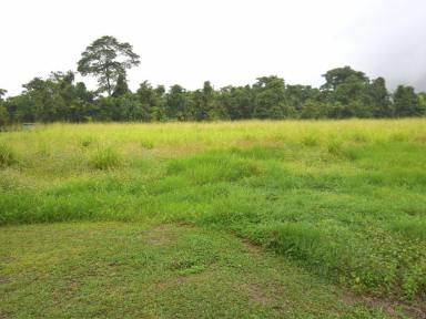 Residential Block For Sale - QLD - Tully - 4854 - Prime Acreage Living in Coveted Keir Road Subdivision  (Image 2)